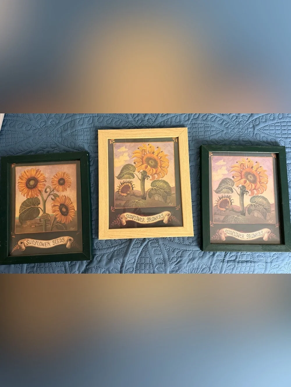 Sunflower Growers Framed Art - 1 Yellow & 2 Green pictures